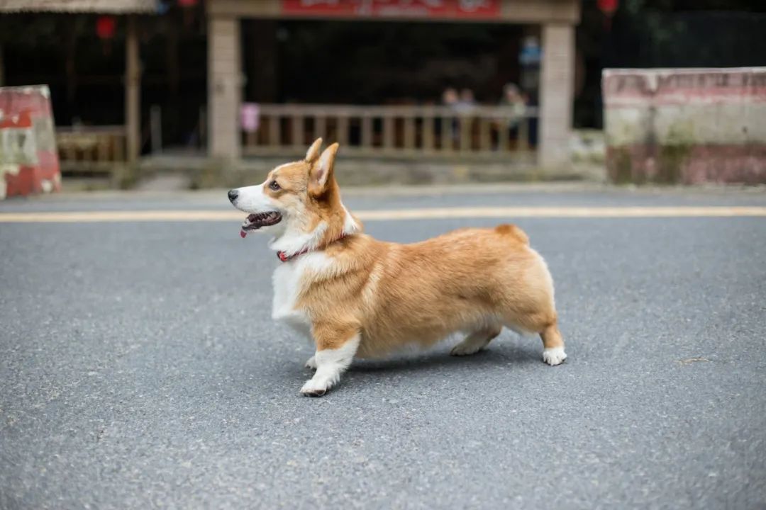 再见，我的老朋友