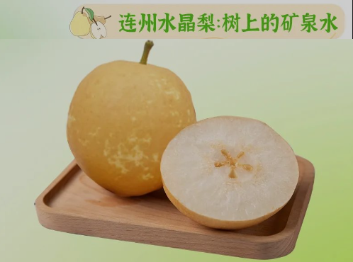 “桃李”酷暑，清凉一夏