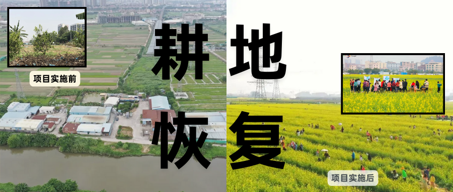 耕地；び刖梅⒄构踩凇甘泻窠终蛩谏缜读继锵钅扛鼗指从氤窍缛诤系拇葱率导