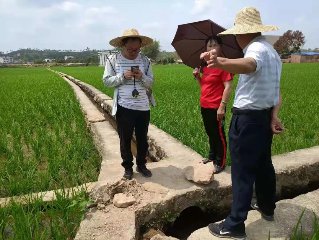 1626079924268950 微信图片_20210712165157.jpg